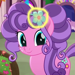 Size: 300x300 | Tagged: safe, screencap, petunia petals, earth pony, pony, rainbow roadtrip, female, flower, flower in hair, implied sunny skies, looking at you, magic, mare, offscreen character, telekinesis