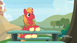 Size: 1920x1080 | Tagged: safe, screencap, big macintosh, earth pony, pony, the big mac question, apple, apple tree, cutie mark, discovery family logo, food, freckles, good mood, male, picnic table, sitting, smiling, solo, stallion, stupid grin, sweet apple acres, table, tree, unshorn fetlocks