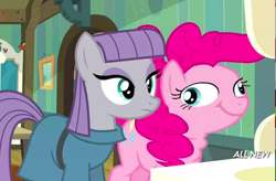 Size: 599x394 | Tagged: safe, derpibooru import, screencap, maud pie, pinkie pie, earth pony, pony, maud pie (episode), all new, bust, clothes, derp, faic, female, great moments in animation, mare, mirror, ponk, portrait, silly face, text