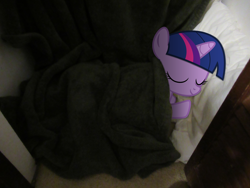 Size: 2048x1536 | Tagged: safe, artist:superplay64, twilight sparkle, pony, unicorn, blanket, closet, female, filly, filly twilight sparkle, irl, photo, pillow, ponies in real life, real life background, sleeping, story included, younger