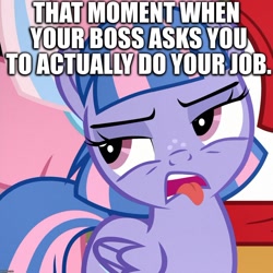 Size: 1078x1080 | Tagged: safe, edit, edited screencap, screencap, clear sky, quibble pants, wind sprint, earth pony, pegasus, pony, unicorn, common ground, angry, annoyed, boss, caption, cropped, image macro, job, lazy, solo focus, text, tongue out, work