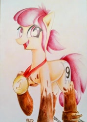 Size: 2010x2829 | Tagged: safe, artist:rsd500, oc, oc only, oc:hopple scotch, earth pony, pony, chains, dirty, female, looking at you, mare, medal, mud, raised hoof, running of the leaves, simple background, smiling, solo, traditional art, ych result