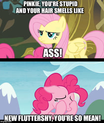 Size: 500x593 | Tagged: safe, derpibooru import, edit, edited screencap, screencap, fluttershy, pinkie pie, earth pony, pegasus, pony, bridle gossip, the maud couple, abuse, background pony strikes again, downvote bait, flutterbitch, meme, op is a cuck, op is trying to start shit, pinkiebuse