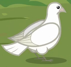 Size: 284x270 | Tagged: safe, screencap, bird, dove, the last problem, animal, cropped, solo