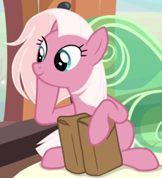 Size: 1212x1333 | Tagged: safe, screencap, fuchsia frost, earth pony, pony, the last problem, background pony, bag, cropped, cute, female, friendship student, mare, sitting, smiling