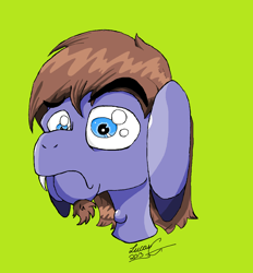 Size: 1792x1928 | Tagged: safe, artist:lucas_gaxiola, oc, oc only, donkey, bust, signature, simple background, solo