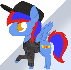 Size: 1323x1301 | Tagged: safe, artist:dyonys, oc, pegasus, cap, chibi, clothes, ear piercing, earring, hat, jewelry, piercing, ych result