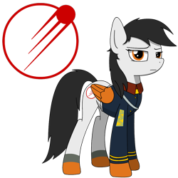 Size: 1000x1000 | Tagged: safe, artist:lonebigcity, oc, oc:ikar syntin soyuz, pegasus, pony, clothes, cutie mark, female, looking at you, reference sheet, simple background, solo, soyuz, sputnik, transparent background, uniform