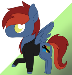 Size: 1209x1257 | Tagged: safe, artist:dyonys, oc, oc:firewire, pegasus, chibi, ych result