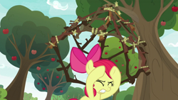 Size: 1280x720 | Tagged: safe, screencap, apple bloom, pony, going to seed, apple, apple tree, cage, solo, trap (device), tree