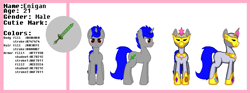 Size: 1051x391 | Tagged: safe, artist:zeka10000, oc, oc only, oc:enigan, pony, unicorn, armor, colors, cutie mark, elements of harmony, male, nickname, reference, reference sheet, solo, stallion