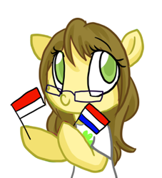 Size: 300x331 | Tagged: safe, artist:laceymod, oc, earth pony, pony, ask lovelace, female, flag, indonesia, mare, netherlands, simple background, solo, white background