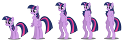 Size: 2346x774 | Tagged: safe, artist:flash equestria photography, twilight sparkle, unicorn twilight, anthro, centaur, pony, taur, unguligrade anthro, unicorn, anthro with ponies, barbie doll anatomy, breasts, featureless breasts, featureless crotch, progression, show accurate anthro, simple background, white background