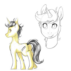 Size: 2000x2000 | Tagged: safe, artist:brownie97, oc, pony, unicorn, bust, sketch, solo