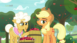 Size: 1920x1080 | Tagged: safe, derpibooru import, screencap, applejack, earth pony, pony, going to seed, apple, apple tree, barrel, duo, female, food, mare, shawl, tree