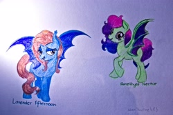 Size: 4316x2877 | Tagged: safe, artist:alienpauline483, oc, oc only, oc:amethyst nectar, oc:lavender afternoon, bat pony, pony, female, mare, traditional art