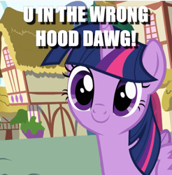 Size: 625x635 | Tagged: safe, edit, edited screencap, screencap, twilight sparkle, twilight sparkle (alicorn), alicorn, pinkie pride, caption, cropped, image macro, solo, text, wrong neighborhood