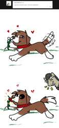 Size: 800x1726 | Tagged: safe, artist:askwinonadog, discord, winona, dog, ask, ask winona, broken hearts, comic, duo, floating heart, flower, food, heart, pepper, pony discord, prank, simple background, smelling, tail wag, tumblr, wavy mouth, white background