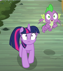 Size: 794x899 | Tagged: safe, screencap, spike, twilight sparkle, twilight sparkle (alicorn), alicorn, dragon, pony, uprooted, cropped, duo, female, looking up, male, mare, shocked, shrunken pupils, winged spike