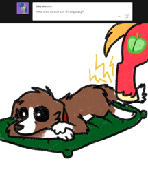 Size: 800x926 | Tagged: safe, artist:askwinonadog, big macintosh, winona, dog, ask, ask winona, duo, lying down, offscreen character, oops, pain, simple background, solo focus, tumblr, white background