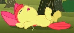 Size: 293x130 | Tagged: safe, screencap, apple bloom, earth pony, pony, the super speedy cider squeezy 6000, adorabloom, applebetes, cropped, cute, fainted, female, filly, on back, passed out, solo