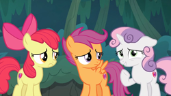 Size: 1600x900 | Tagged: safe, screencap, apple bloom, scootaloo, sweetie belle, pony, the big mac question, cutie mark crusaders, frown, nervous grin