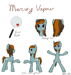 Size: 1275x1351 | Tagged: safe, artist:nobleboron, oc, oc:mercury vapour, earth pony, pony, implied self harm, reference sheet, scar