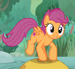 Size: 908x838 | Tagged: safe, screencap, scootaloo, bufogren, pegasus, pony, growing up is hard to do, cropped, older, older scootaloo, smiling, solo, swamp