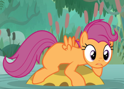 Size: 960x693 | Tagged: safe, screencap, scootaloo, bufogren, pegasus, pony, growing up is hard to do, cropped, older, older scootaloo, prone, solo, swamp