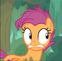 Size: 944x940 | Tagged: safe, screencap, scootaloo, pegasus, pony, growing up is hard to do, cropped, female, mare, older, older scootaloo, scared, solo, teeth