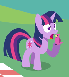 Size: 719x799 | Tagged: safe, artist:viva reverie, twilight sparkle, bird, brony polka, derp, open mouth, twilight eats a bird