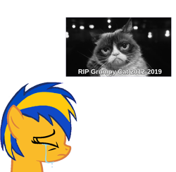 Size: 1000x976 | Tagged: safe, oc, pony, grumpy cat, photo, tribute