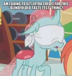 Size: 600x627 | Tagged: safe, edit, edited screencap, screencap, ocellus, changedling, changeling, 2 4 6 greaaat, blindfold, caption, cropped, female, image macro, solo, text