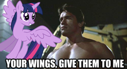 Size: 500x273 | Tagged: safe, twilight sparkle, twilight sparkle (alicorn), alicorn, pony, arnold schwarzenegger, t-800, terminator