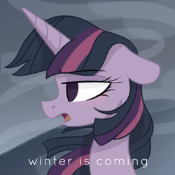 Size: 1024x1024 | Tagged: safe, artist:herfaithfulstudent, twilight sparkle, twilight sparkle (alicorn), alicorn, pony, unicorn, blushing, game of thrones, serious, serious face, solo, talking, text, twilight starkle, wind, windswept mane, winter is coming