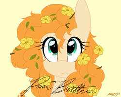 Size: 900x720 | Tagged: safe, artist:pastel-script, pear butter, earth pony, pony, bust, buttercup, cute, female, flower, flower in hair, mare, pearabetes, portrait, signature, simple background, solo, yellow background