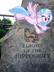 Size: 3024x4032 | Tagged: safe, artist:hendro107, artist:marches45, silverstream, classical hippogriff, hippogriff, female, flight of the hippogriff, florida, harry potter, hippogriffs in real life, irl, orlando, photo, ponies in real life, real life background, solo, theme park, universal studios, universal's islands of adventure