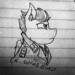Size: 400x400 | Tagged: safe, artist:biergarten13, oc, oc only, fallout equestria, fallout equestria: ghosts of the past, colonel, german, lined paper, officer, solo, traditional art, world war ii