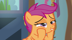 Size: 1920x1080 | Tagged: safe, screencap, scootaloo, pony, the last crusade, lidded eyes, solo