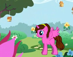 Size: 830x650 | Tagged: safe, oc, oc only, alicorn, pony, pony creator, alicorn oc, bird house, flower, pony oc, solo