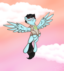 Size: 1024x1135 | Tagged: safe, artist:vigilantefreak, pegasus, pony, flying, homestuck, jane crocker, ponified