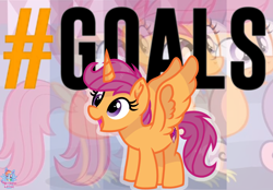 Size: 1798x1251 | Tagged: safe, artist:rainbow eevee, scootaloo, alicorn, bird, chicken, pony, alicorn drama, alicornified, atg 2019, bronybait, cutie mark, drama, female, filly, goal, hashtag, newbie artist training grounds, not salmon, open mouth, race swap, scootachicken, scootacorn, scootalove, smiling, social media, solo, spread wings, the cmc's cutie marks, this will end in tears and/or death and/or covered in tree sap, this will not end well, wat, what has magic done, wings