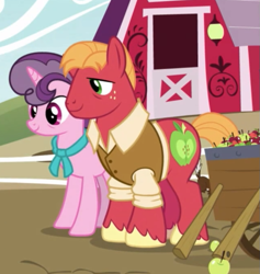 Size: 641x675 | Tagged: safe, screencap, big macintosh, sugar belle, pony, unicorn, the last problem, clothes, cropped, female, husband and wife, male, mare, older big macintosh, older sugar belle, shipping, smiling, stallion, straight, sugarmac