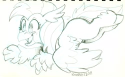 Size: 2460x1516 | Tagged: safe, artist:boobun, silverstream, hippogriff, cute, diastreamies, monochrome, sketch, solo, traditional art