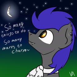 Size: 1920x1920 | Tagged: safe, artist:valthonis, oc, oc only, oc:lovely night, bat pony, male, moon, night, solo, stallion, stars