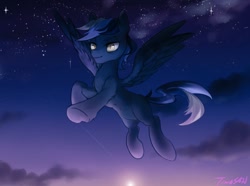 Size: 1024x762 | Tagged: safe, artist:tingsan, oc, pegasus, pony, night, slit eyes, solo, stars