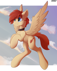 Size: 4000x5000 | Tagged: safe, artist:capseys, oc, oc only, oc:flair, pegasus, pony, collar, ear fluff, flying, male, solo, stallion, wings