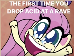 Size: 728x554 | Tagged: safe, edit, edited screencap, screencap, fluttershy, pegasus, pony, my little pony: pony life, caption, cropped, drugs, image macro, lsd, meme, solo, text, tripping