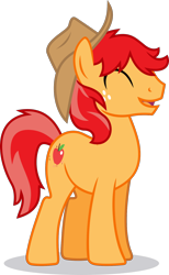 Size: 1000x1627 | Tagged: safe, artist:tacos67, oc, oc only, oc:applesnap, earth pony, pony, apple family member, cowboy hat, eyes closed, hat, male, simple background, solo, stallion, stetson, transparent background