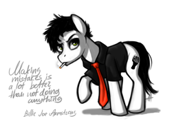 Size: 1700x1200 | Tagged: safe, artist:hellaoggi, earth pony, pony, billie joe armstrong, ponified, solo